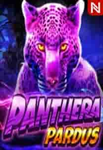 Panthera Pardus