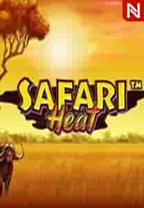 SAFARI HEAT