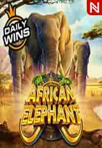 African Elephant™